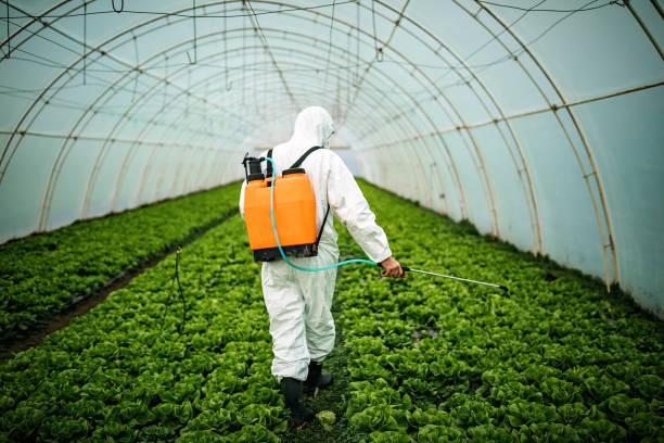 Best Pest Removal Services  in New Lenox, IL
