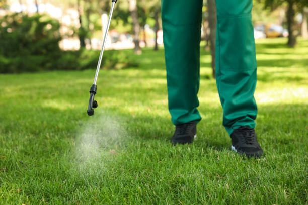 Best Pest Control Cost  in New Lenox, IL