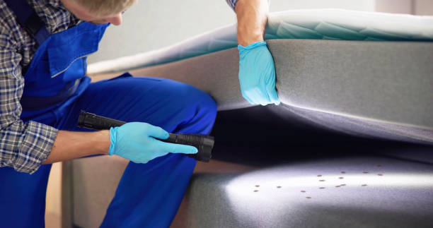 Best Pest Inspection Near Me  in New Lenox, IL