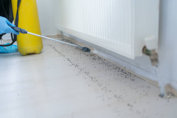 Best Pest Prevention Services  in New Lenox, IL