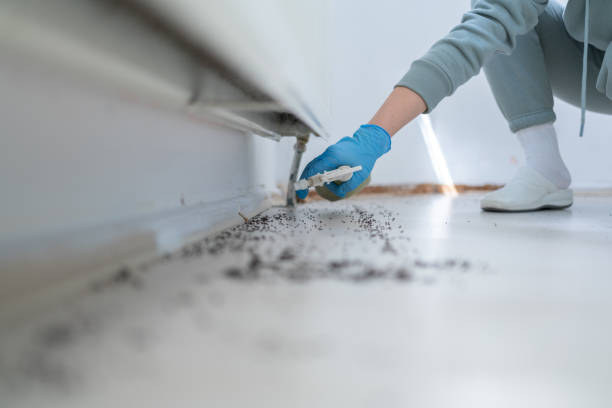 Reliable New Lenox, IL Pest Control Solutions