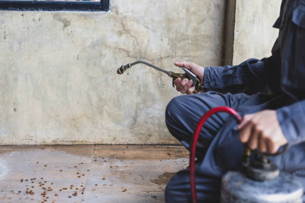 Best Pest Control Near Me in New Lenox, IL