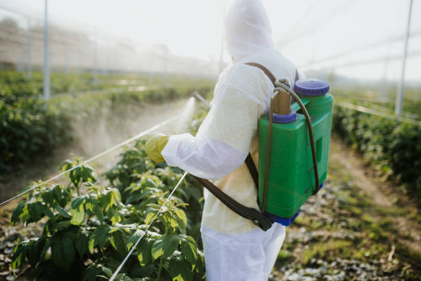 Best Emergency Pest Control  in New Lenox, IL